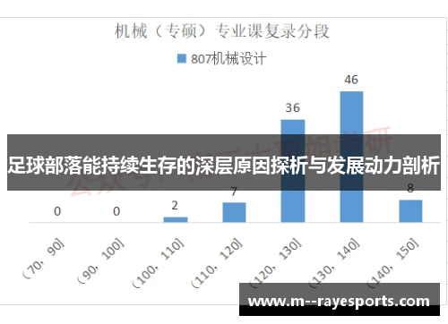 足球部落能持续生存的深层原因探析与发展动力剖析